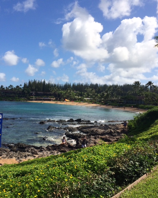 Kapalua bay